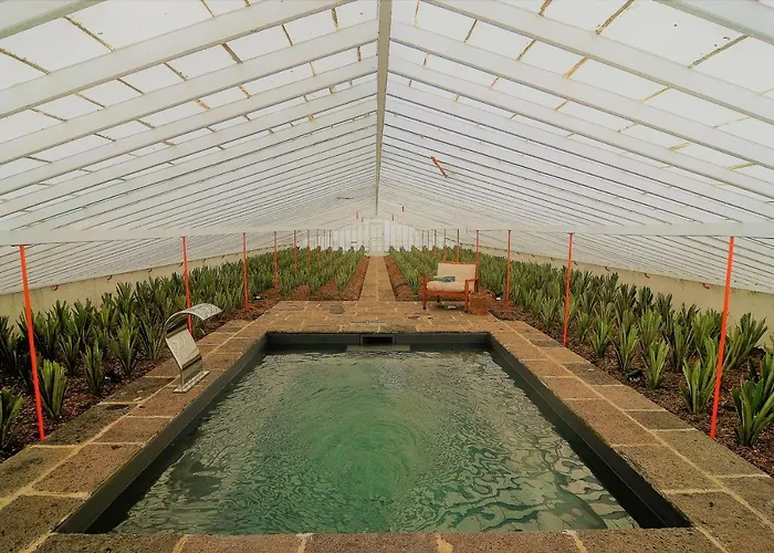 Farm stay Herdade Do Ananas *