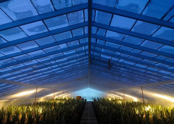 Farm stay Herdade Do Ananas *