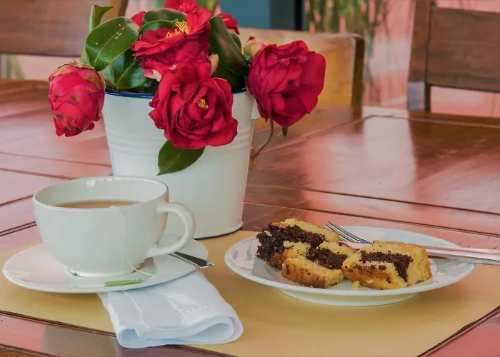 Farm stay Herdade Do Ananas *