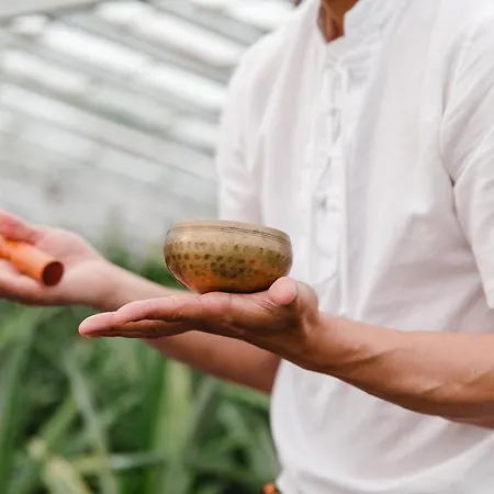 Herdade Do Ananás *