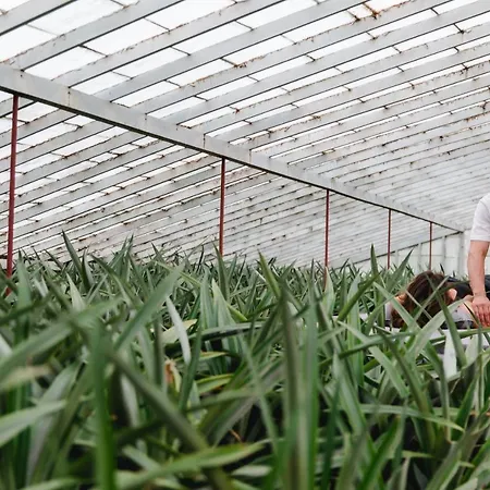 Herdade Do Ananas * Ponta Delgada