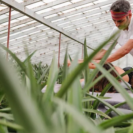 Farm stay Herdade Do Ananas *