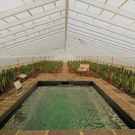 Farm stay Herdade Do Ananas *