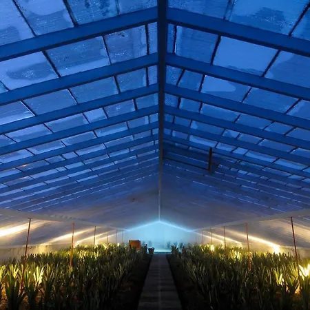 Farm stay Herdade Do Ananas *