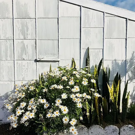 Отель Herdade Do Ananas
