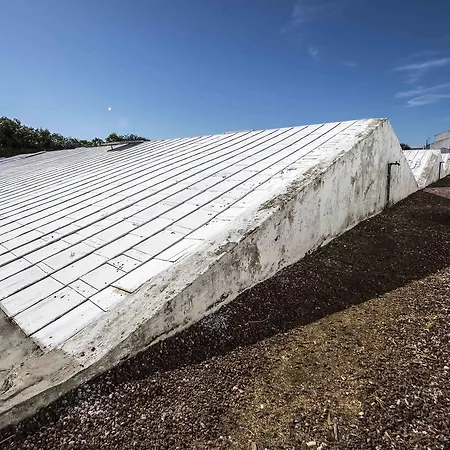 Lantgård Herdade Do Ananas