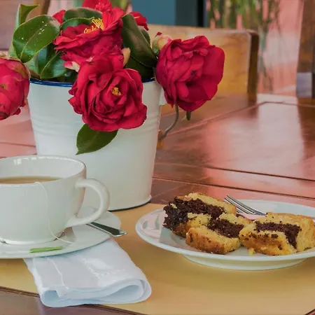 Lantgård Herdade Do Ananas *