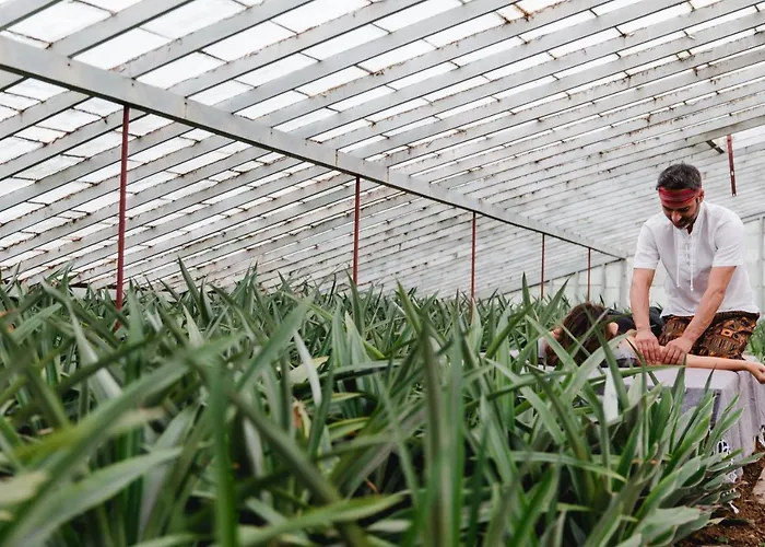 Herdade Do Ananas * Понта-Делгада