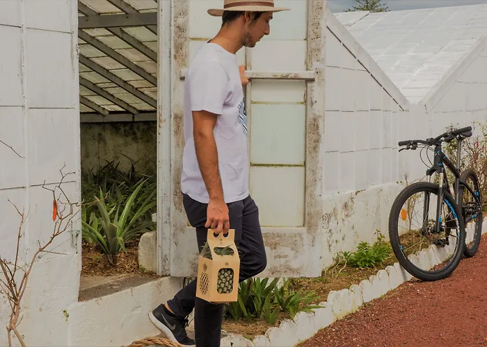 Herdade Do Ananas ファームステイ ポンタ・デルガダ