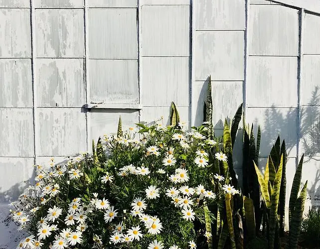 ファームステイ Herdade Do Ananas