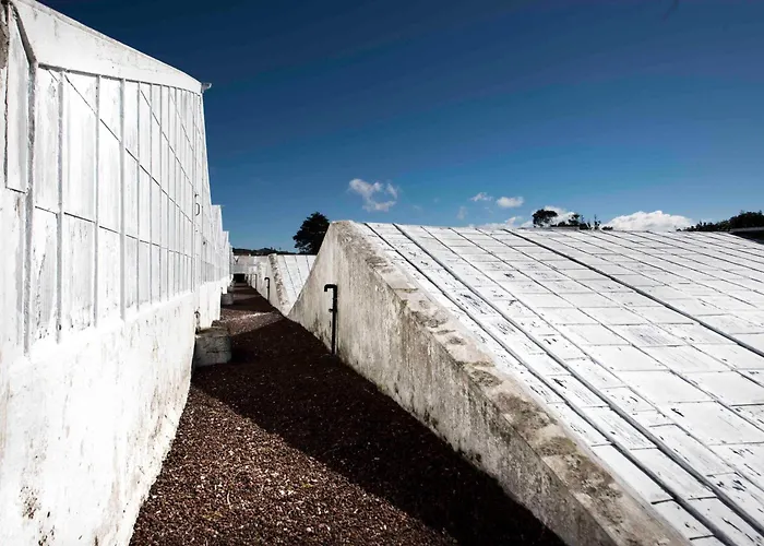 Herdade Do Ananas ポンタ・デルガダ